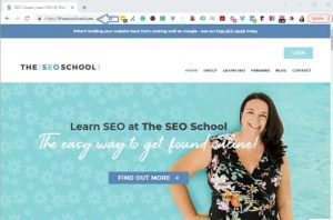 The SEO School website